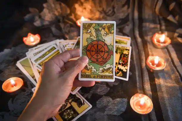 tarot cards Green Meadows